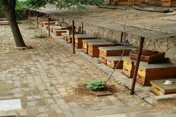 北京•中国蜜蜂博物馆