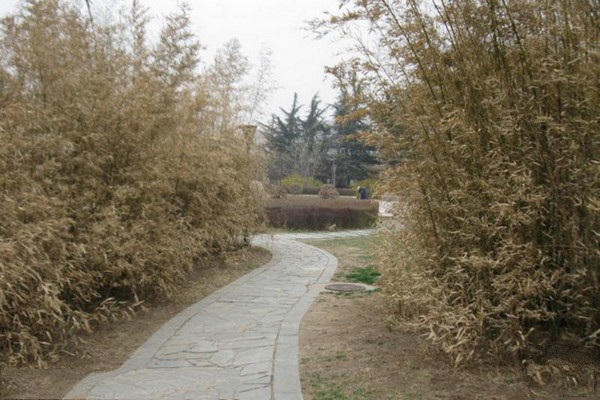 北京•中科院北京植物园