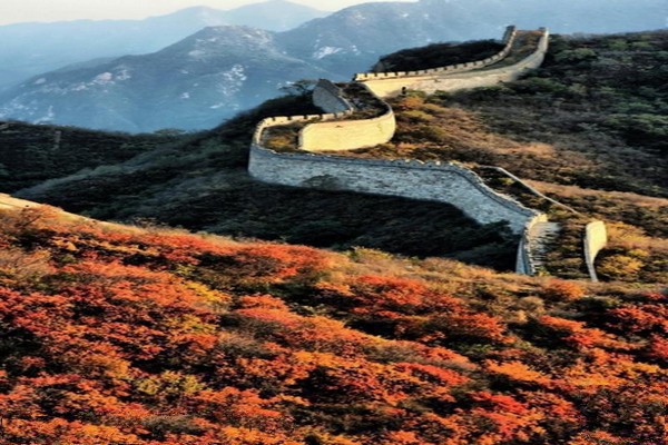 红叶艳映残长城