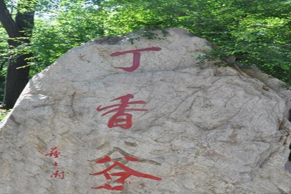 丁香谷风景区