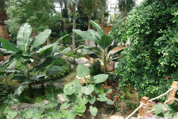 热带植物馆