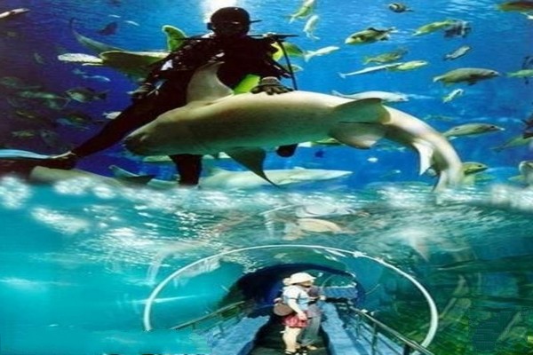 太平洋海底世界博览馆