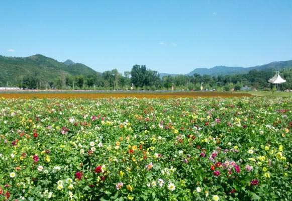 四季花海