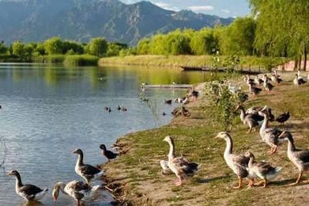 北京•野鸭湖国家湿地公园