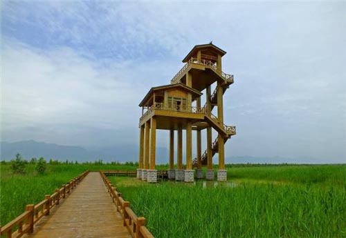 二十四米观鸟塔