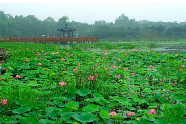 北京•北京圆明园