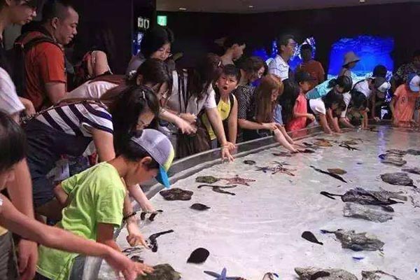 北京•北京海洋馆