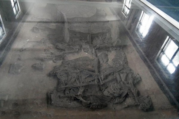 一号墓殉葬车马陈列