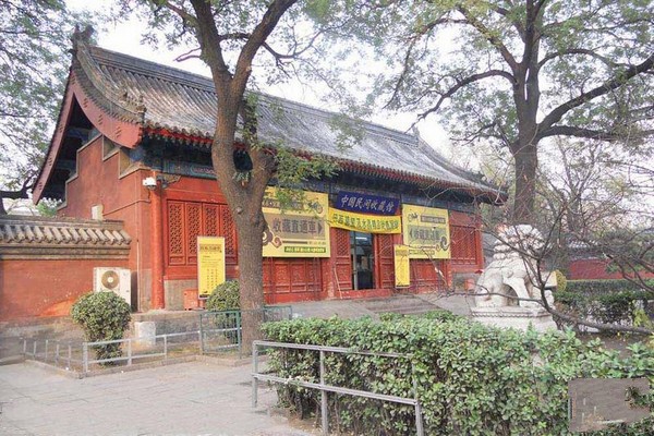 中国民间收藏馆