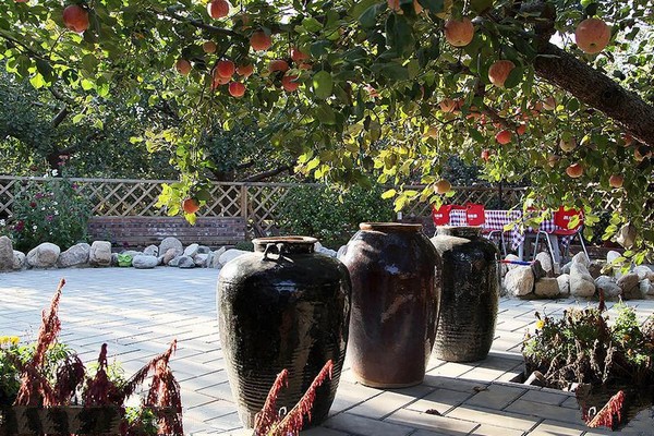 国际农业观光园