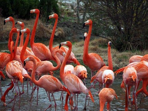 北京•北京动物园