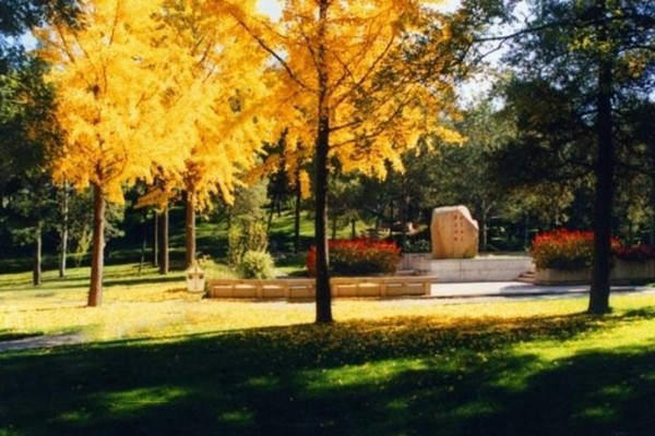 甲所、丙所及园林