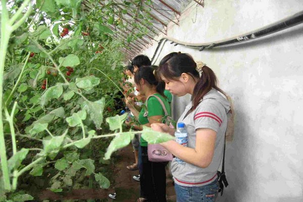 农业观光采摘园