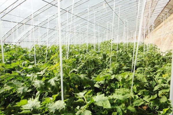 北京•北京白鹭园