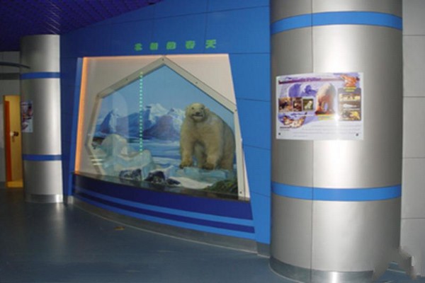 《动物的奥秘》