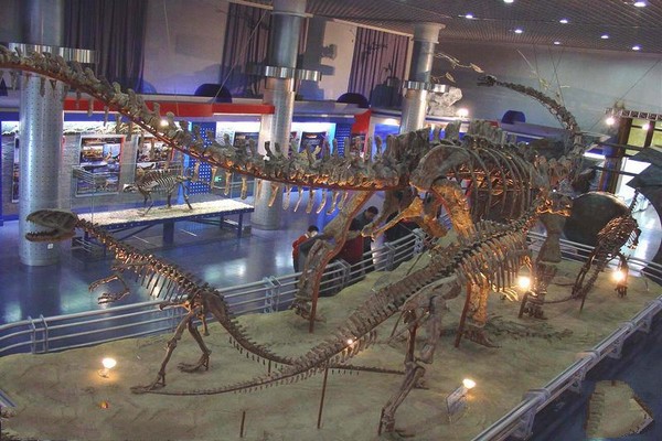 《古爬行动物》