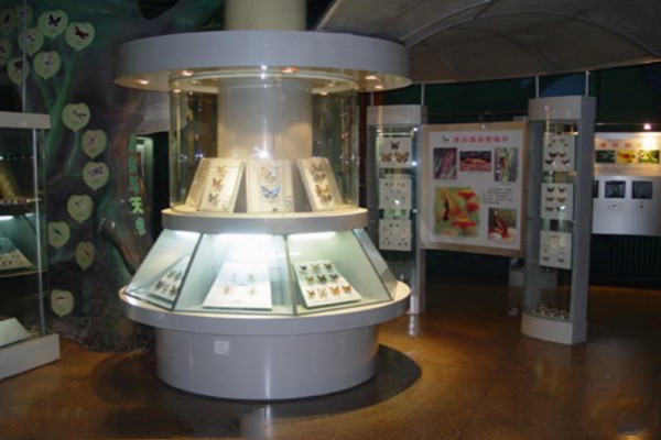 《动物—人类的朋友》