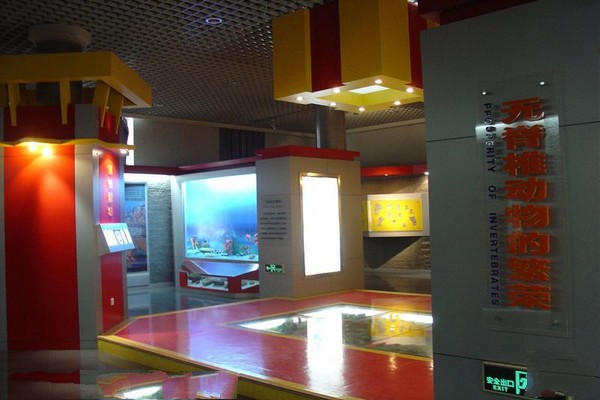 《古无脊椎动物》