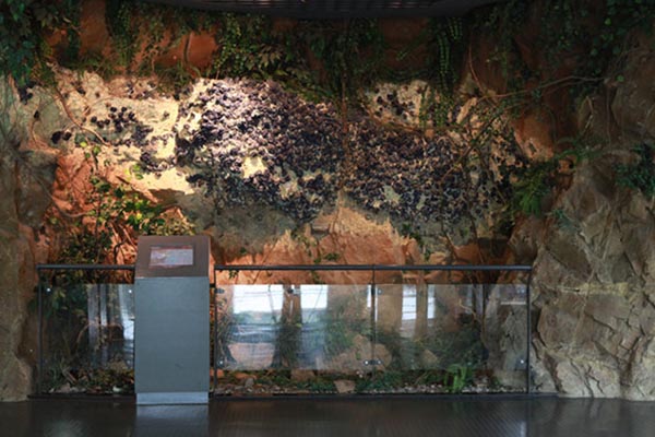 北京•中国地质博物馆