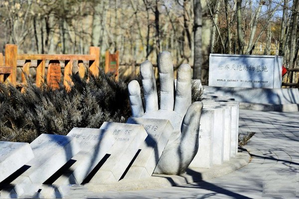 世界灭绝动物墓地