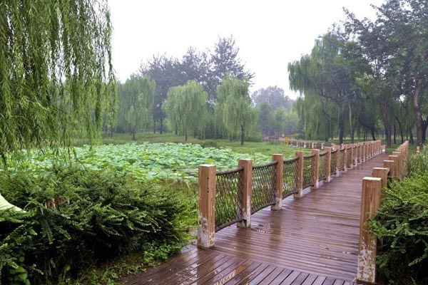 坝河水岸观赏区