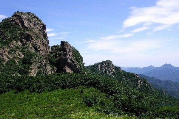 大滩原始次生林