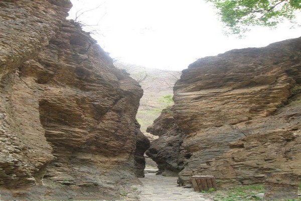太平猴山生态景区