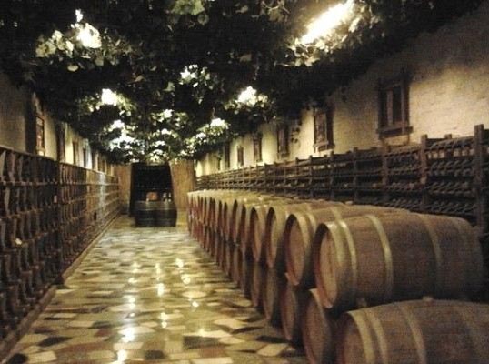 酒窖