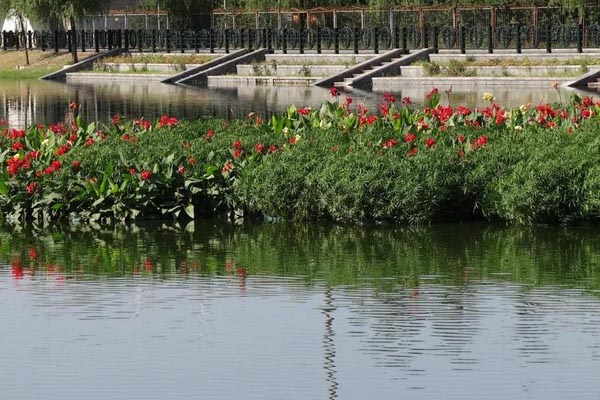 北京•焦庄户地道战遗址纪念馆