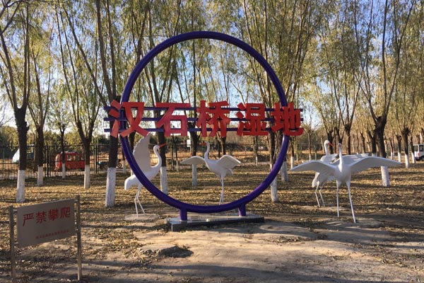 北京•汉石桥湿地