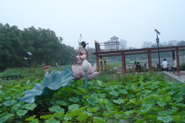 北京•莲花池公园