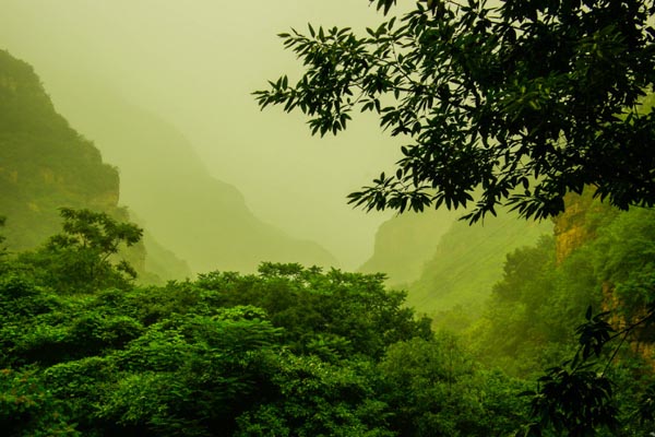 北京•湖洞水景区