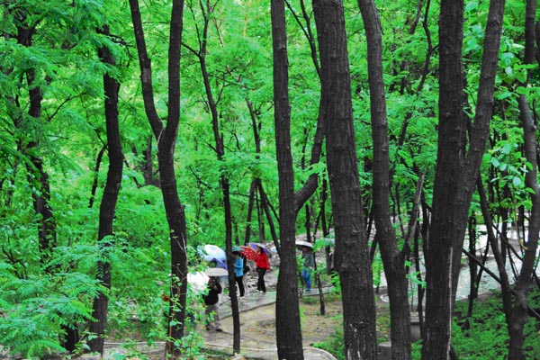 北京•北宫国家森林公园•行龙谷