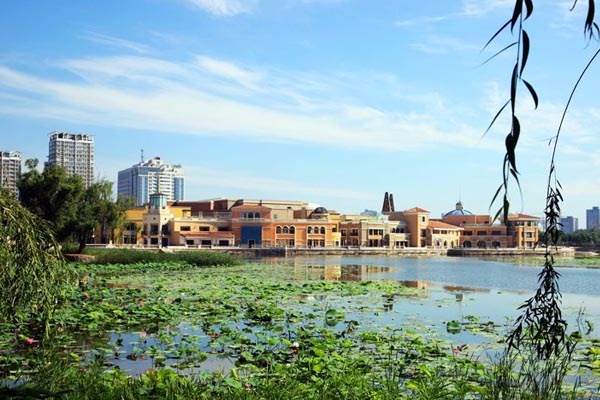 北京•北京朝阳公园•荷花湖