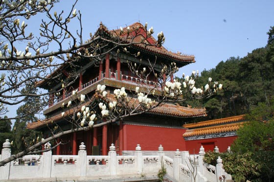 北京•景山公园•绮望楼