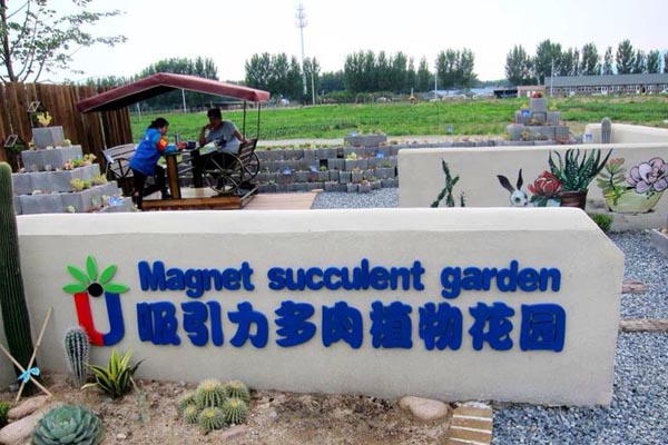 北京•世界葡萄博览园•多肉植物园