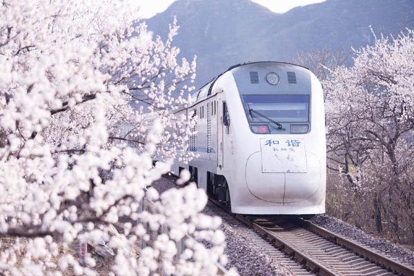 北京•居庸关长城•花海列车