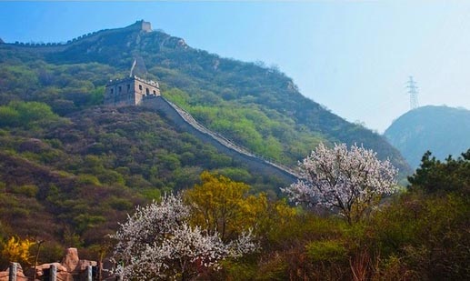 北京•八达岭•荆花谷