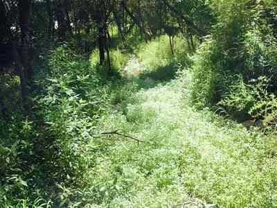 北京•八达岭•弹琴峡