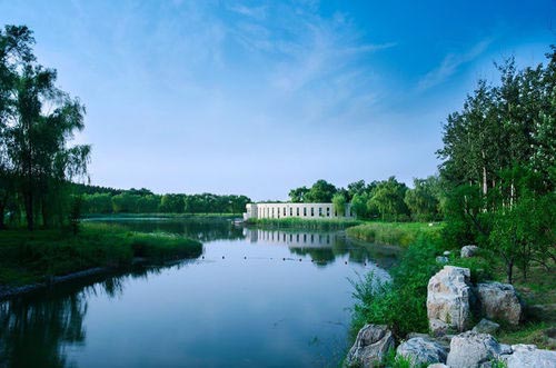 北京•北京奥林匹克公园•森林公园